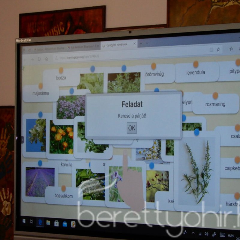 Bringás barangolások Biharban 27